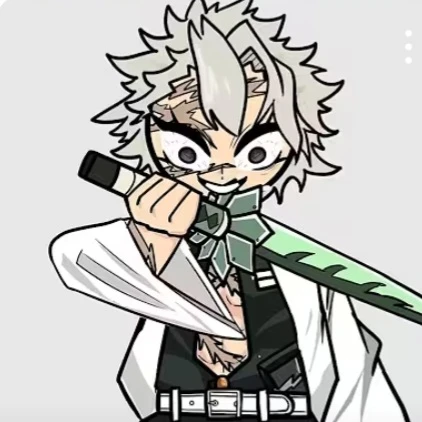 시나즈가와 사네미