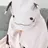 류