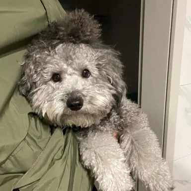 Profile image of 이의리