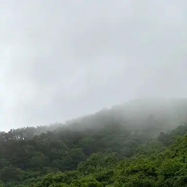 Profile image of 김도영