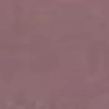 delphine의 현무 1팀