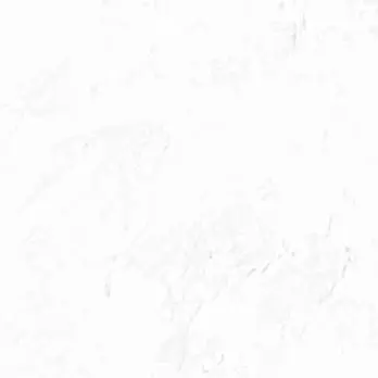 Profile image of ほの