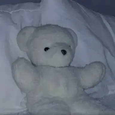 Profile image of Mr. Bear
