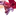 와일드 베리