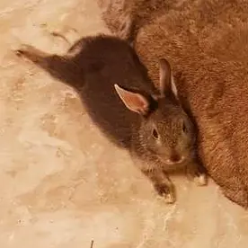 idontknowhowbuttheyfoundme의 선배 위하는 후배(존나!)