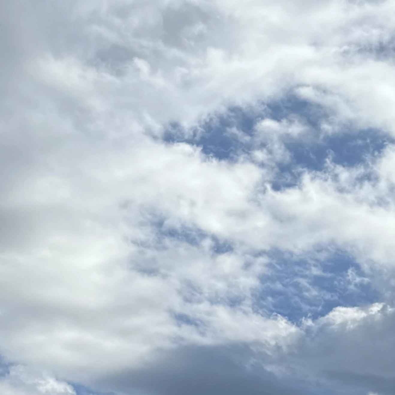 中野