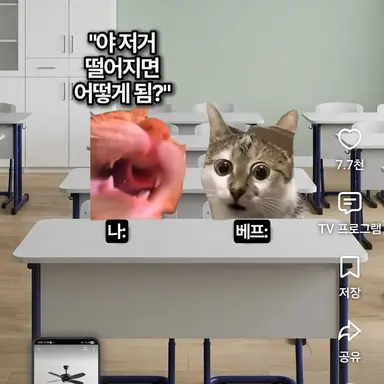 Profile image of 배프