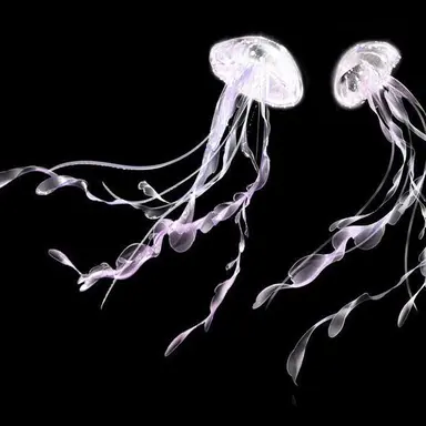 Profile image of The Eltingville Club