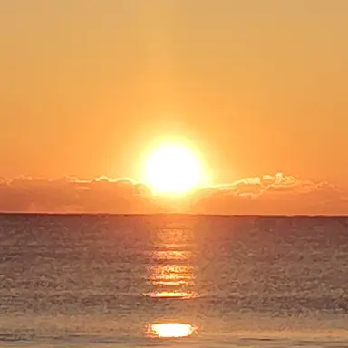 Profile image of World Portal