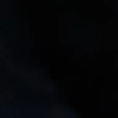 Profile image of 오시온