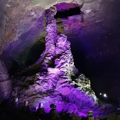 Profile image of 평학