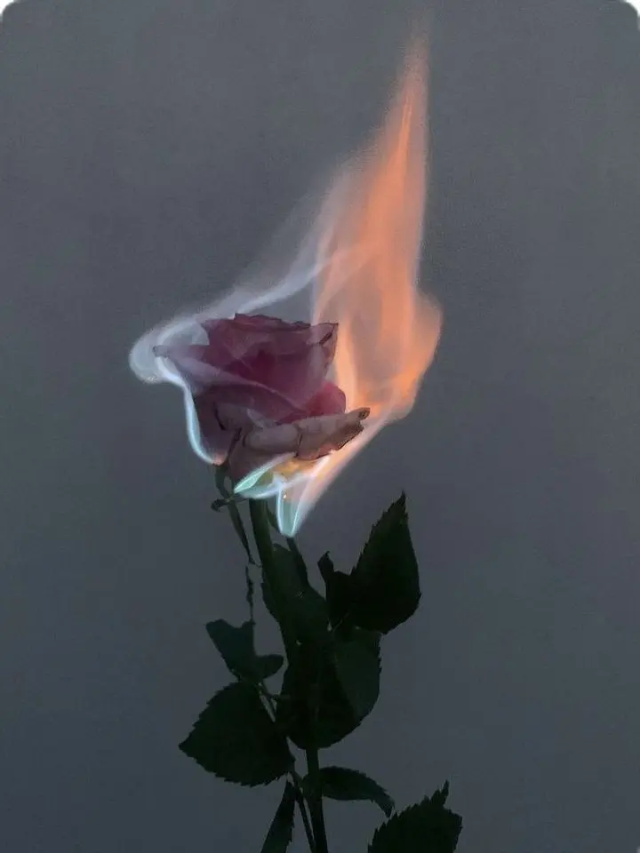 SappyAtom3192의 ずっと応援してる