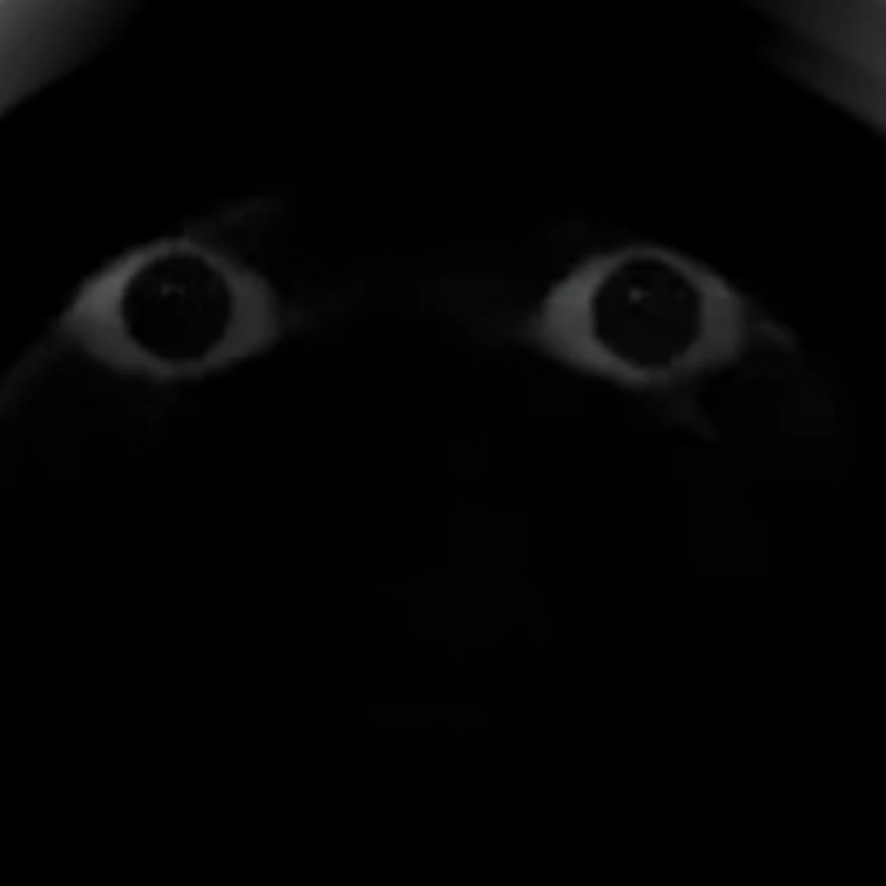 먼시