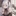 サキュバスに襲われて性奴隷にされる