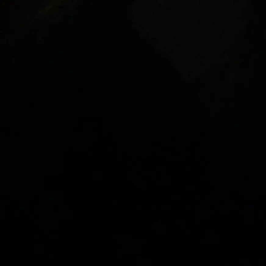 starrydo0의 정재현
