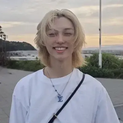 DaftlyAwake3192의 Lee Felix