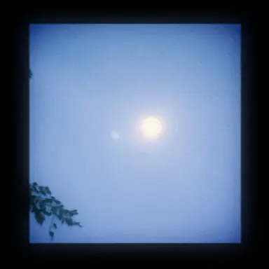 Profile image of 틸