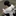 김준혁