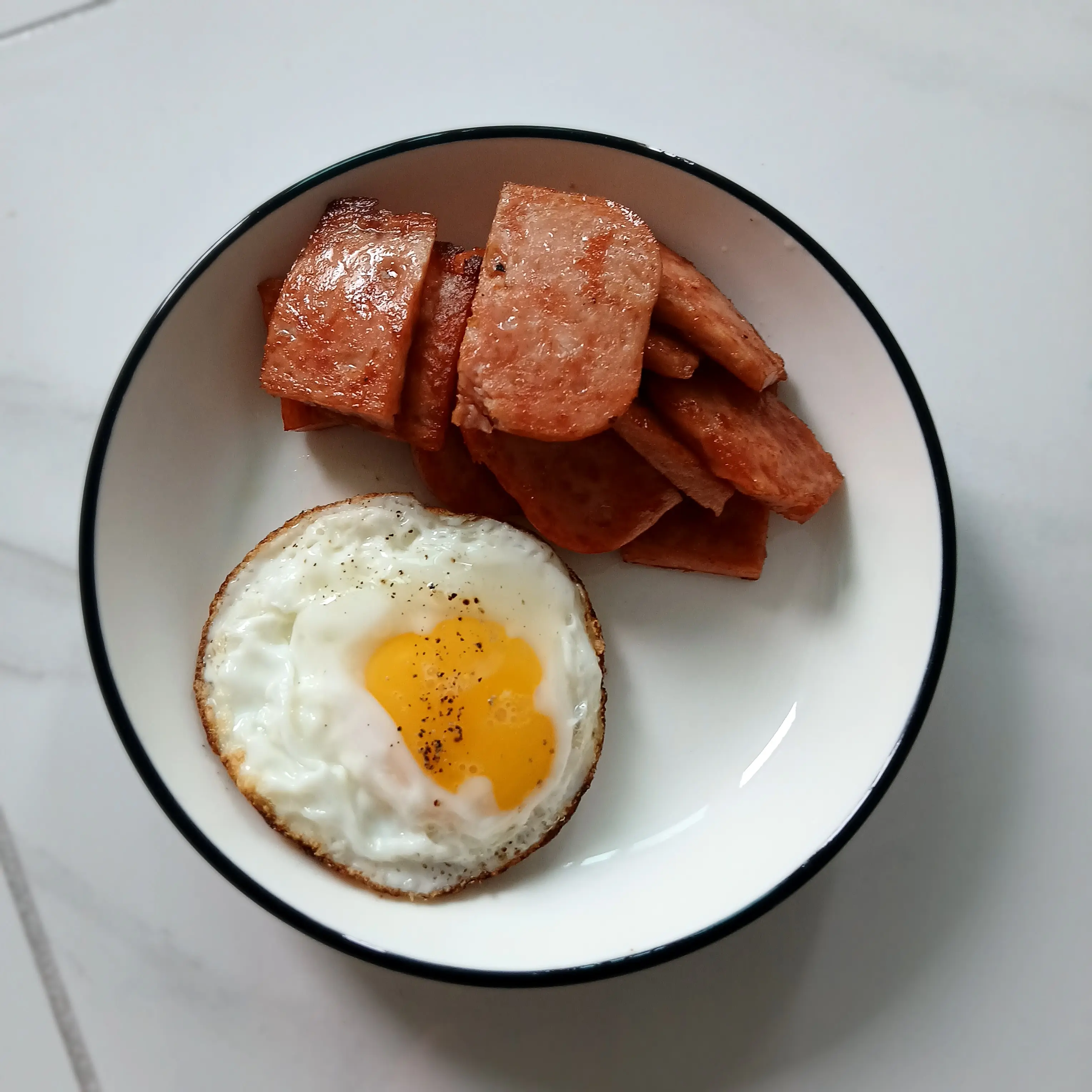 FairHost2040의 픽셀리와 동거