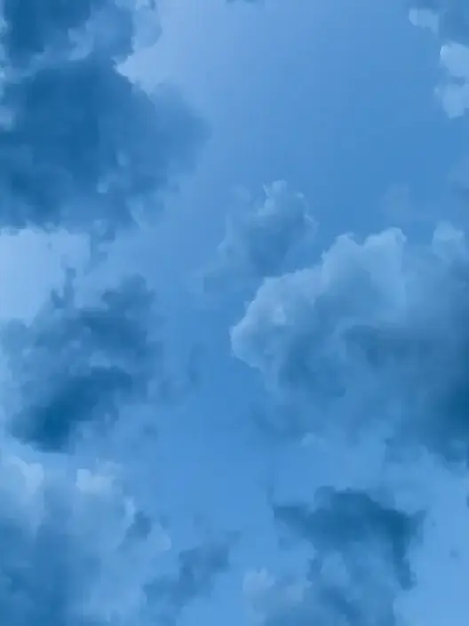 ._.Dise의 共依存