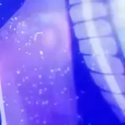 Profile image of し ょ う