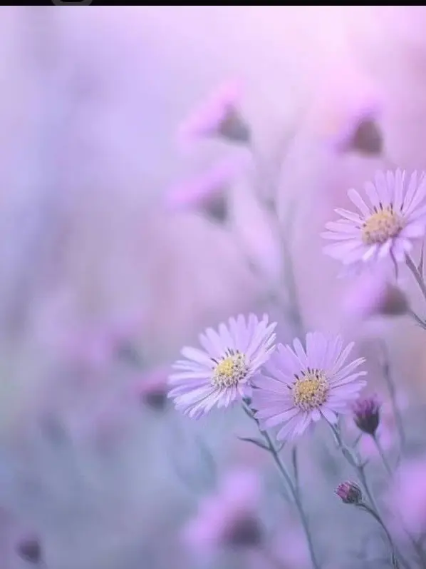 tnsiREI20110928의 現パロ,２