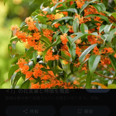 Profile image of 藤堂平助