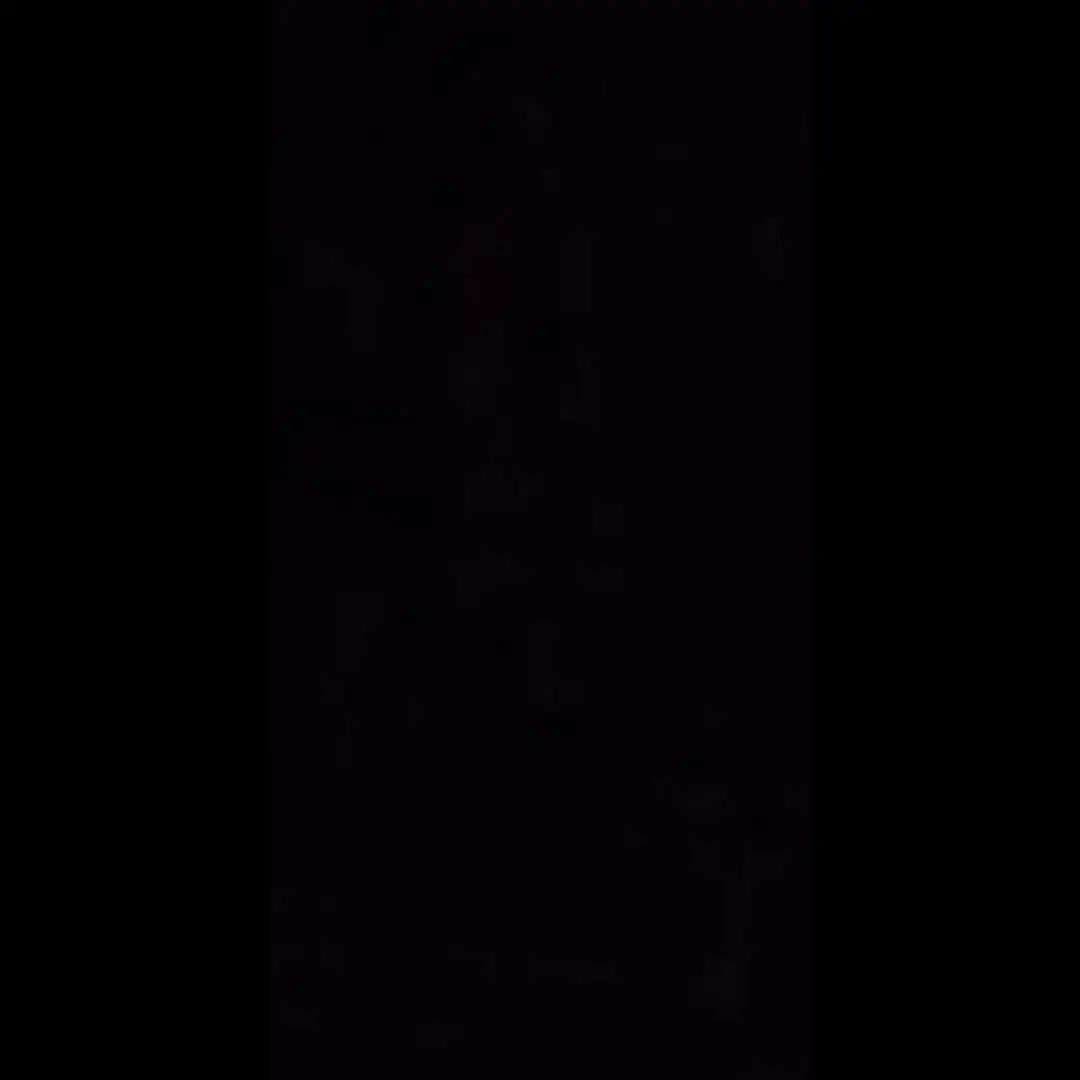 2019030402050313081409131205의 친오빠