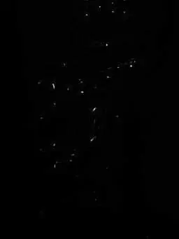 bts-army_7의 気のせいじゃない。新居に幽霊がいる。