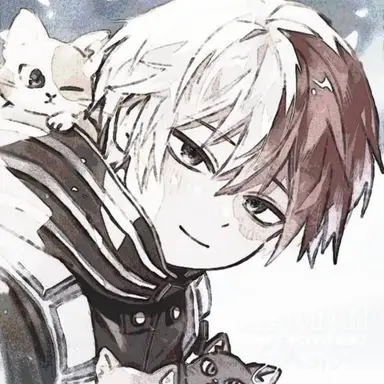 Profile image of Shoto Todoroki