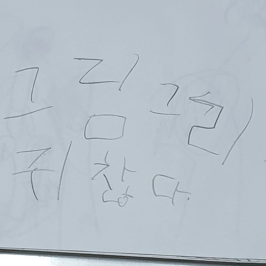 사회자
