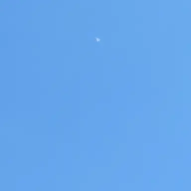 Profile image of 늑데