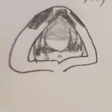 Profile image of ゾム