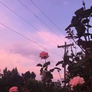 FutureXeme9712의 누나부심