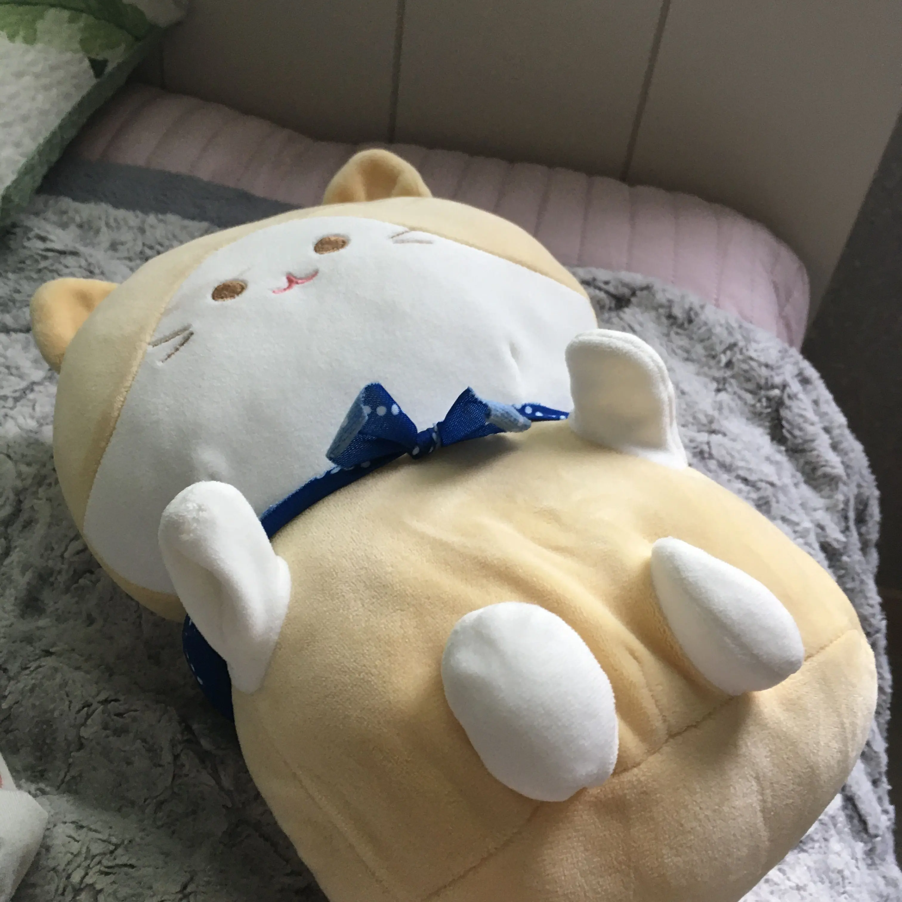 Hayangzovo의 하양즈 생냥,크림이랑 동거?!