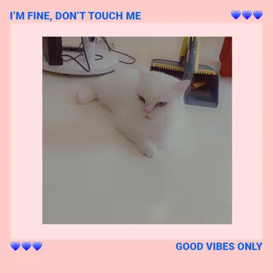 Profile image of 솜이