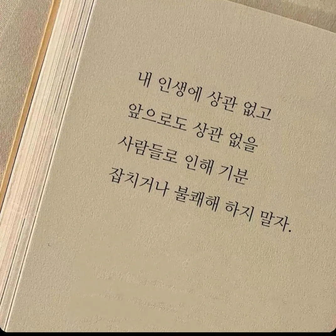 ilovede의 육 성 재