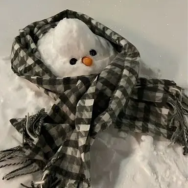 Profile image of 황 수현