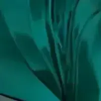 Profile image of Jae-Hwa