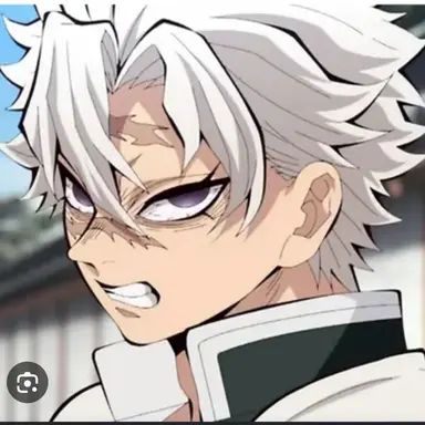 Profile image of 시나즈가와 사네미