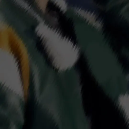 Skz.143의 絶対に懐いてやらない（이민호）