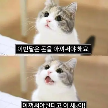 ioksewll의 소멸 울리기