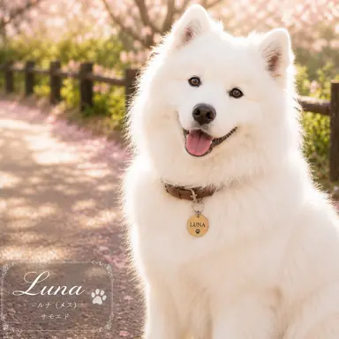 Profile image of ルナ