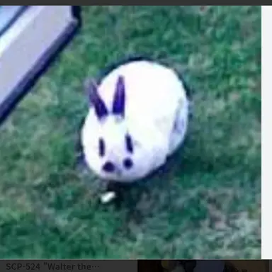 Profile image of Scp 524