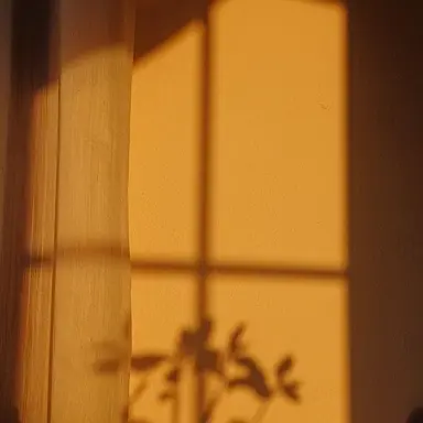 Profile image of 준브레드