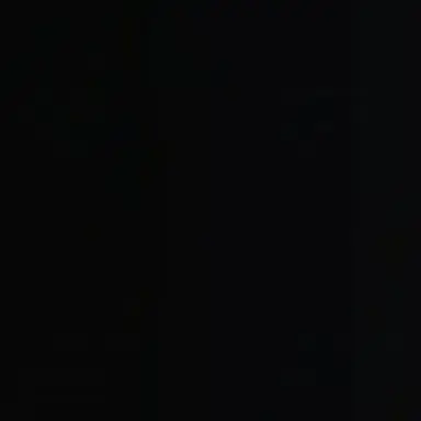 Profile image of 레진