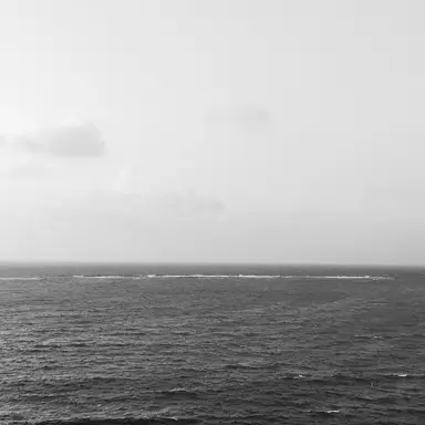 Profile image of 浪速のゴリラ