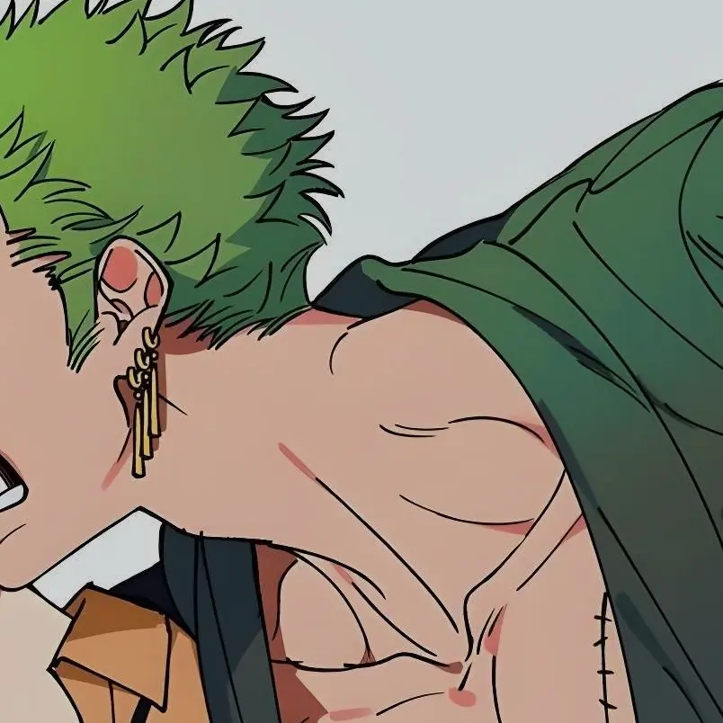 PlacidJaw9142의 ゾロ