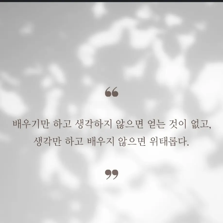 SharpCube8396의 Survey Corps Senior Staff Group Chat