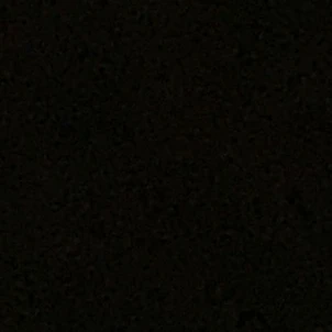 先生達